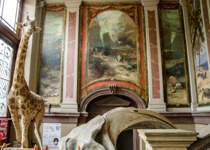 Entrée du musée zoologique de Strasbourg #1 photo