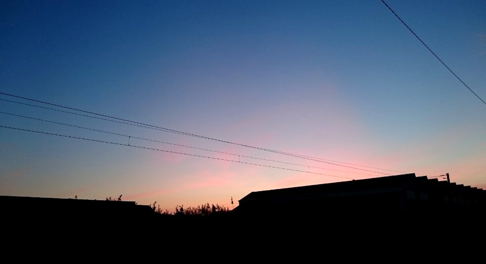 ombres chinoises (1)