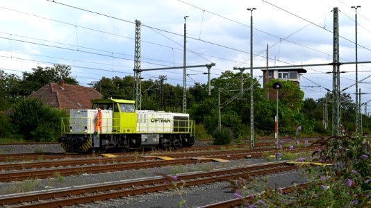 Duisburg 18-08 2020 photo
