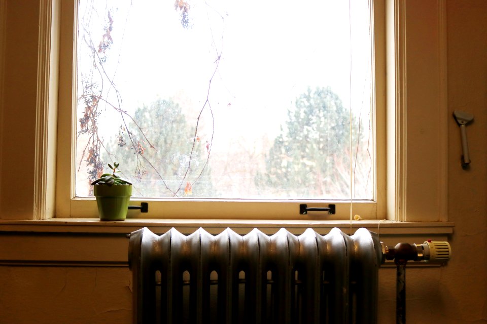 Jan 9 2017 005