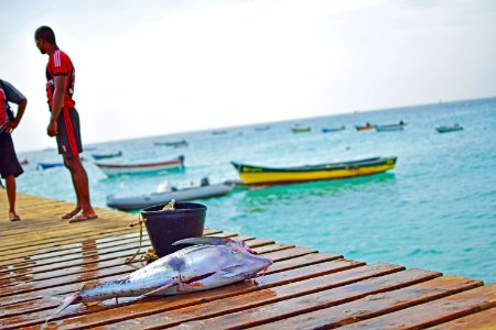 Cape verde fishermen