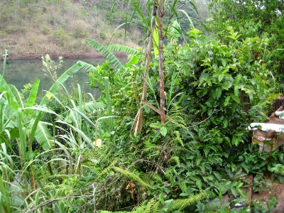 Cachoeira11