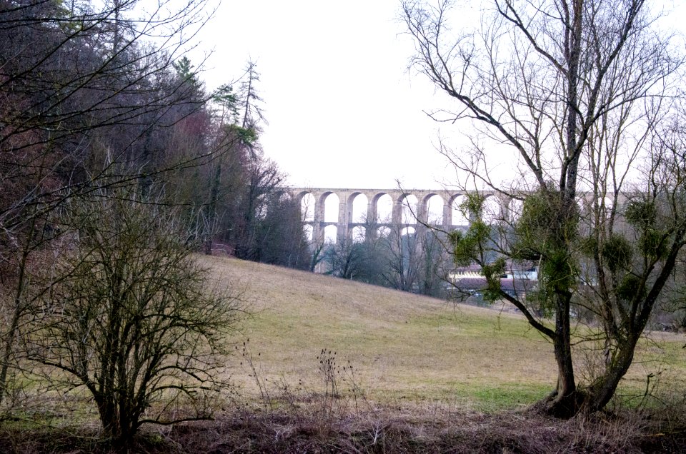 Viaduc de Chaumont depuis l'orée d'un bois
