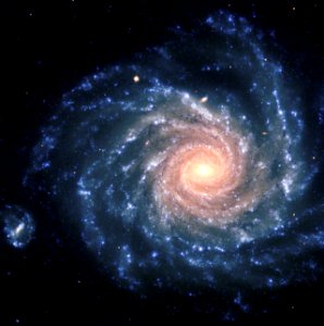 Spiral galaxy NGC 1232