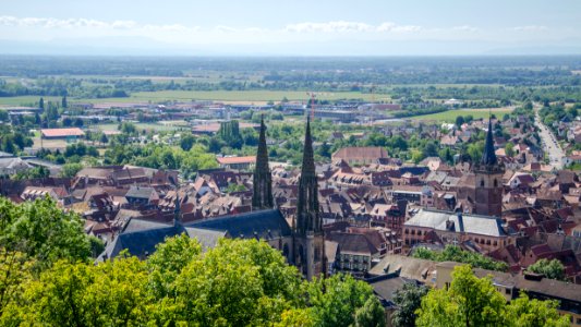 Obernai depuis le Mont national