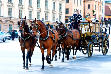 King Rides Coach in Stockholm