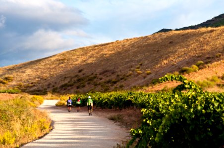 Camino de Santiago