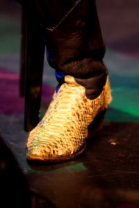 James Blood Ulmer 16-1-2015 Lantaren Venster - James Blood Ulmer (2)