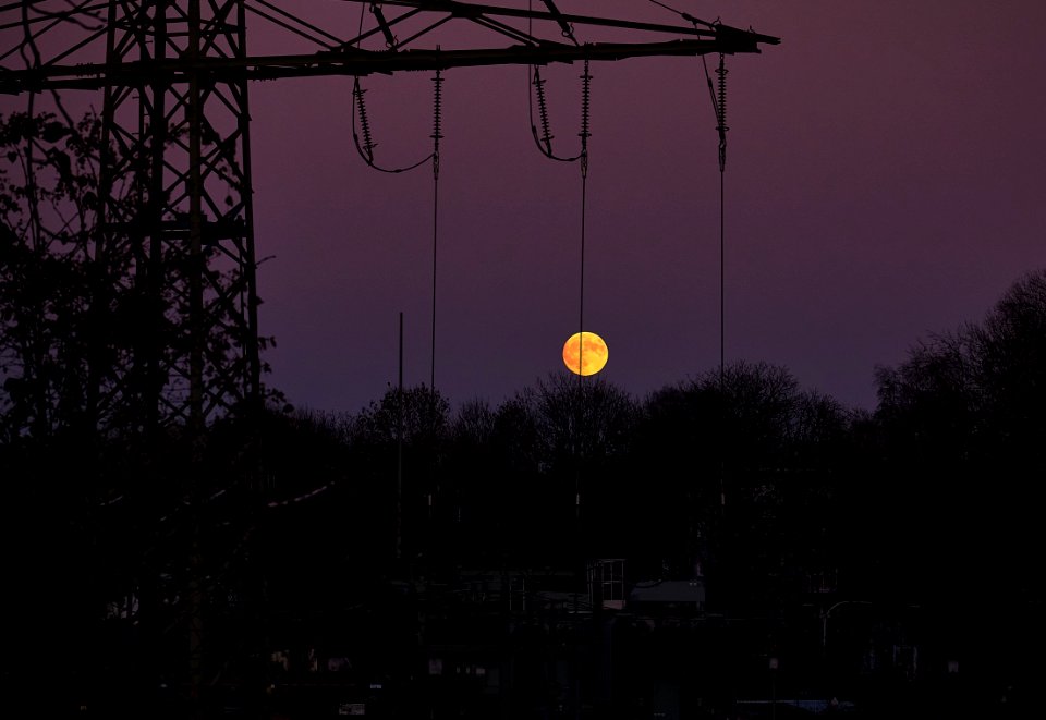 DSCF6792 Mond Mast Bäume 100mm