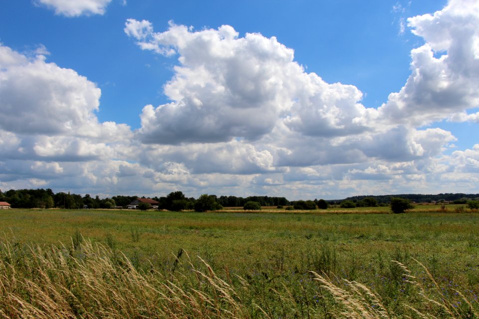 Nuages au dessus d'un champ