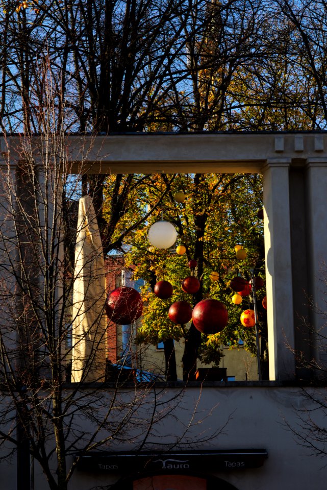 Hanging Baubles in Sunlight, Senerfelder Platz, Prenzlauer Berg
