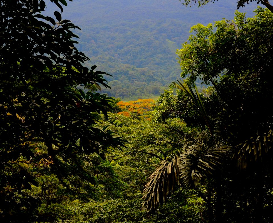 DSCN2384