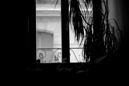 La vie à Nancy