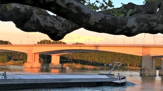 Bei Worms am Rhein