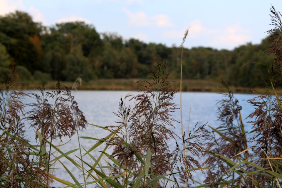 Ballade au bord de l'eau