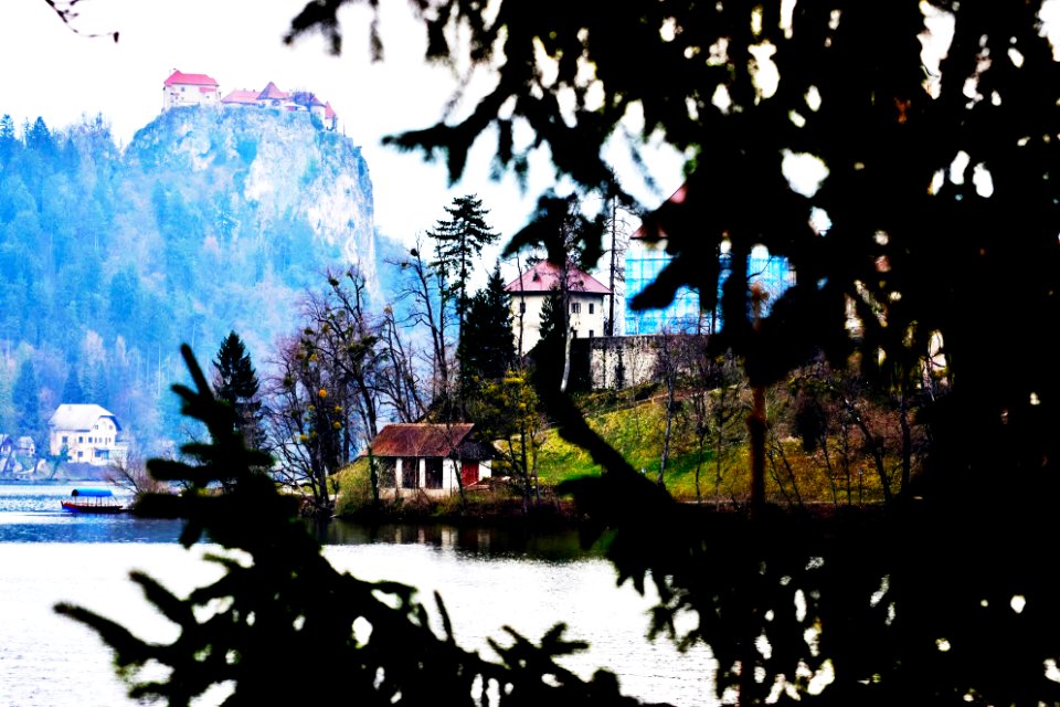 Lake Bled behind the trees.