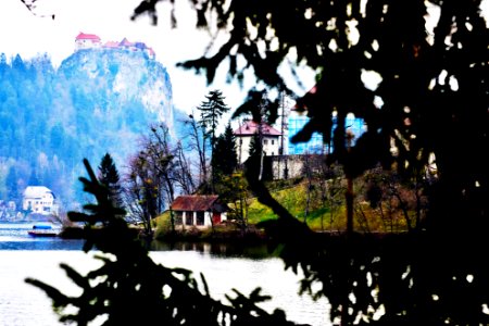 Lake Bled behind the trees. photo