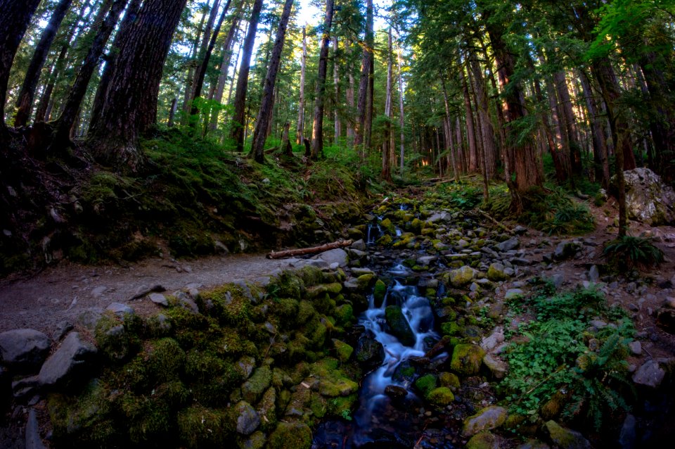 Olympic National Park