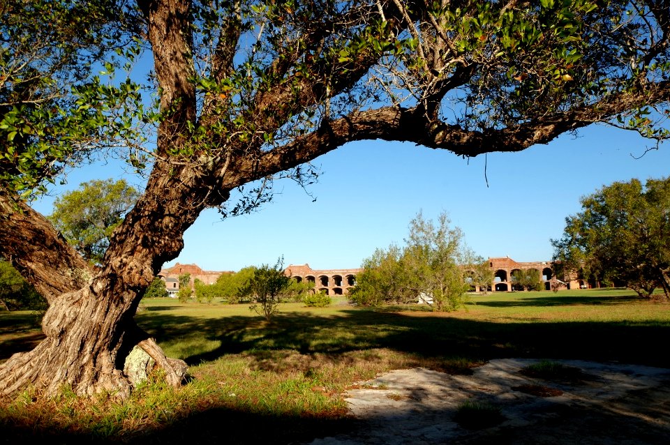 Backyard of Fort Jefferson