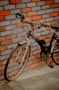 bicycle photo
