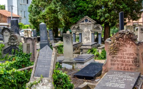 Cimetière juif de Koenigshoffen #7 photo