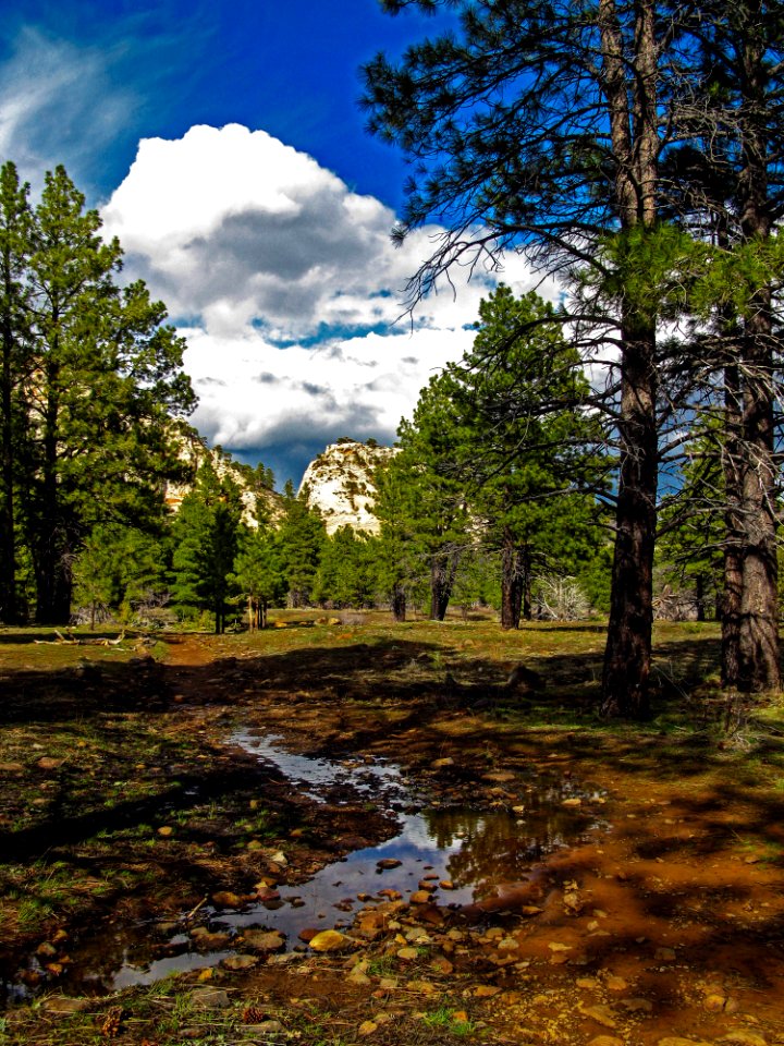Zion National Park