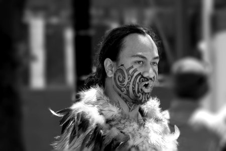 Maori man photo