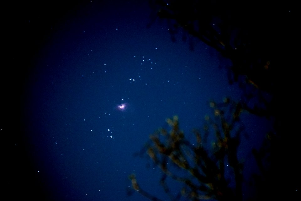 DSCF6273 Orion m42