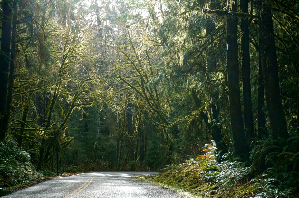 Olympic National Park
