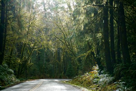 Olympic National Park