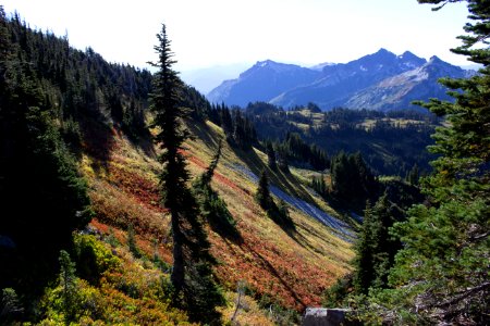 Mt Rainier