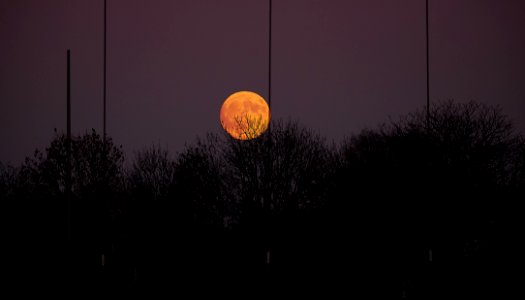 DSCF6788 Mond Mast Bäume 230mm