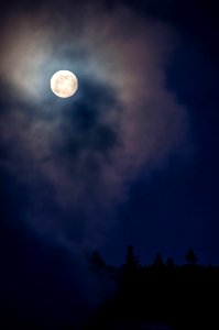 Moon, Yellowstone National Park photo