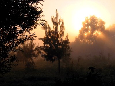 Sunrise, Tanzania