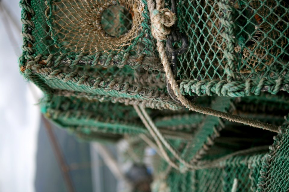 Tarbert Harbour