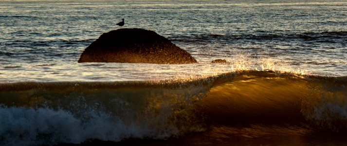 Rialto Beach, Washington State