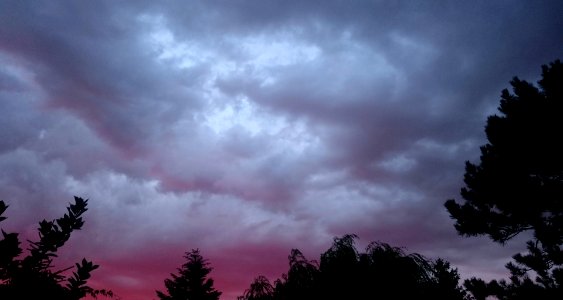 Ciel rose et gris photo