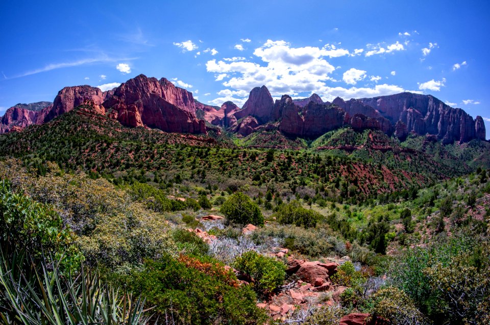 Zion National Park