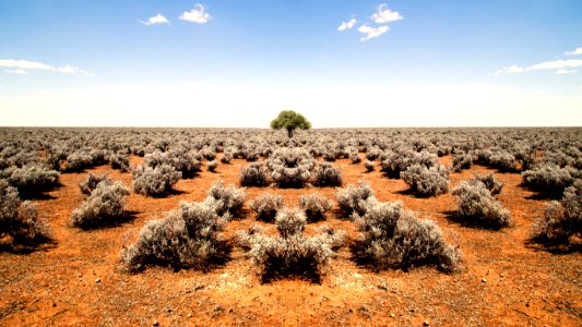 South Australia