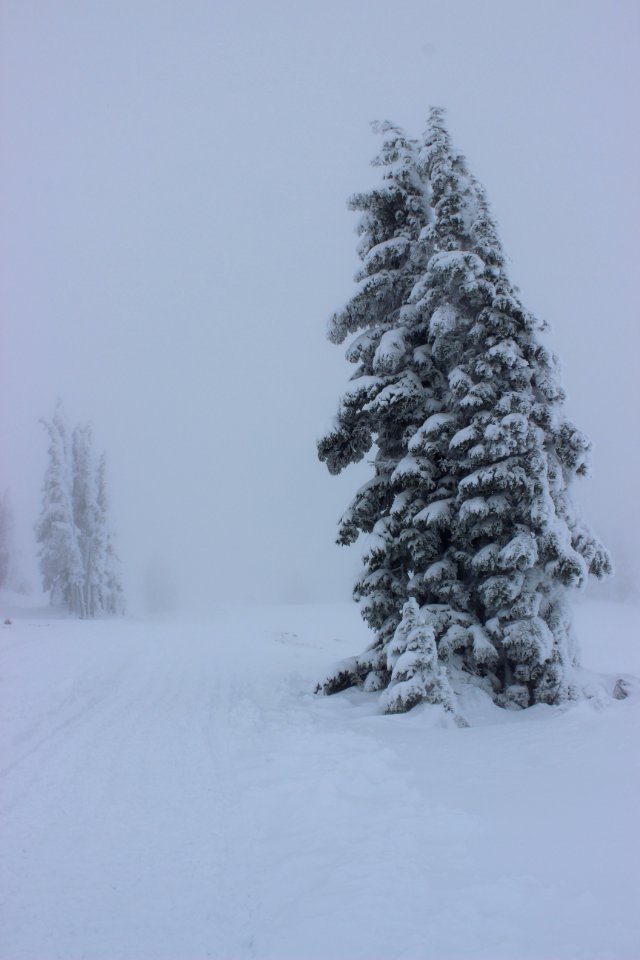 Timberline Lodge Ski Area