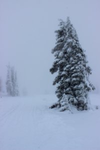Timberline Lodge Ski Area