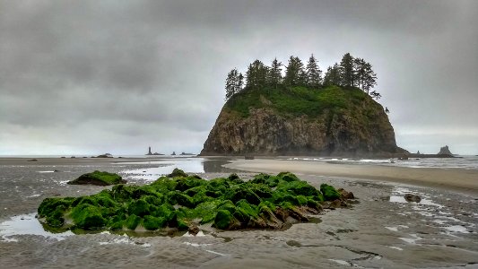 Second Beach, Washington State photo