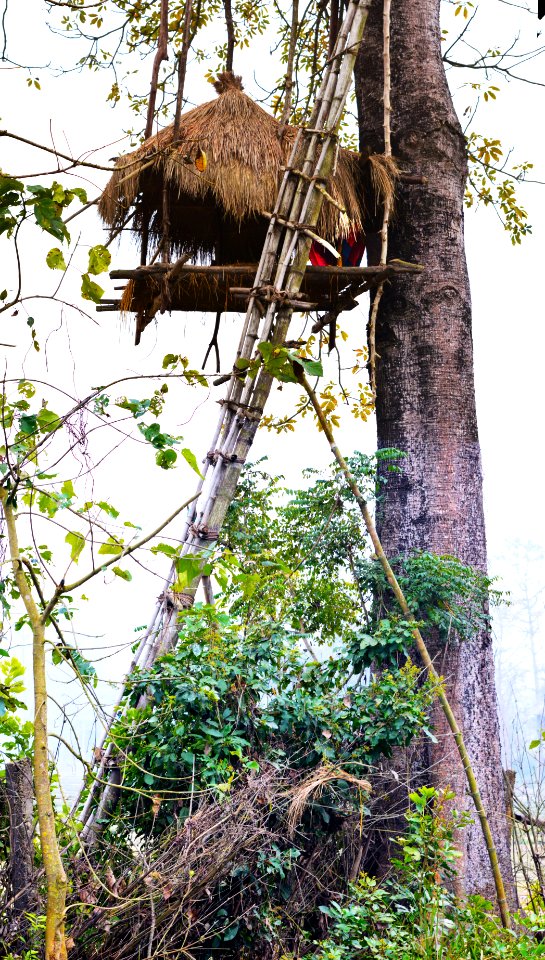 Elephant watch tower