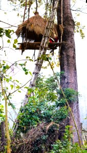 Elephant watch tower