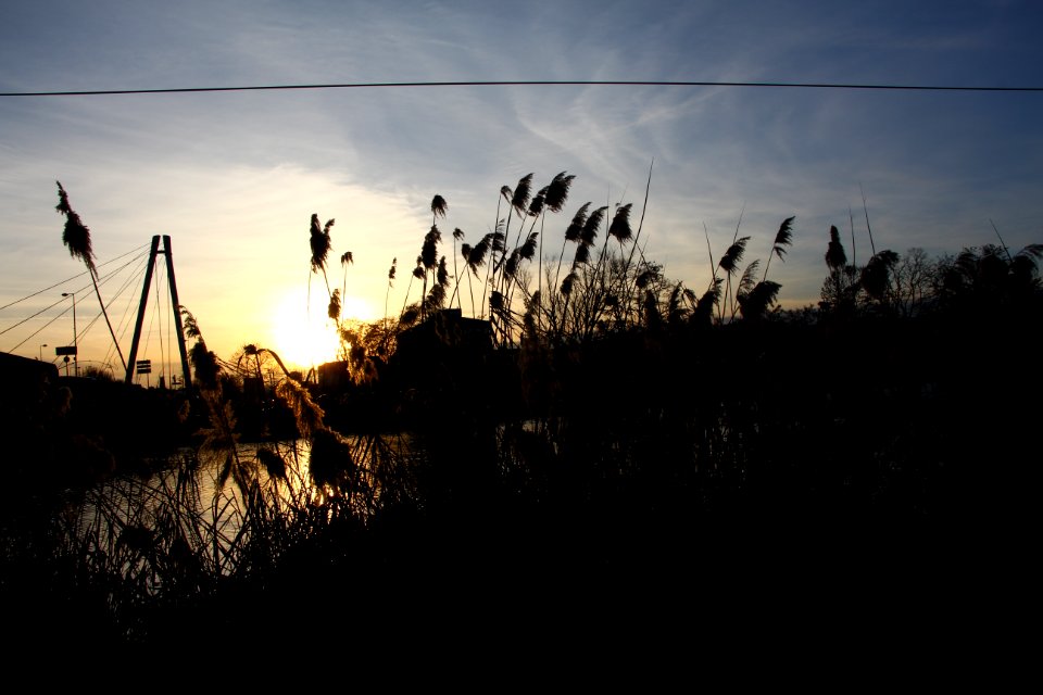 Promenade au bord de l'eau (2)