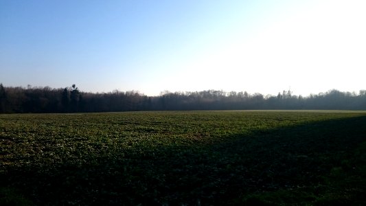 paysage 12 (2)