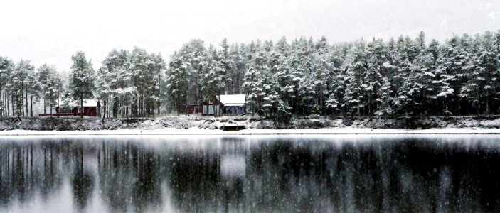 Cabins, byglandsfjord, Norway photo