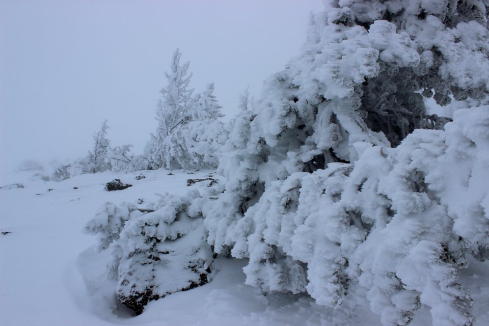 Timberline Lodge Ski Area
