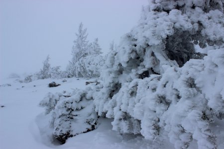 Timberline Lodge Ski Area