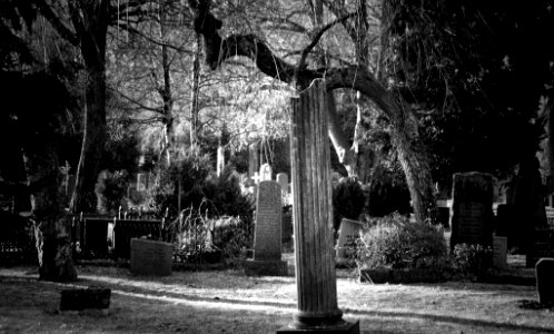 Kristiansand cemetery photo